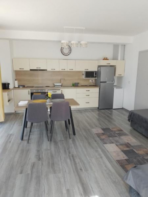 Apartament regim hotelier Băile Felix